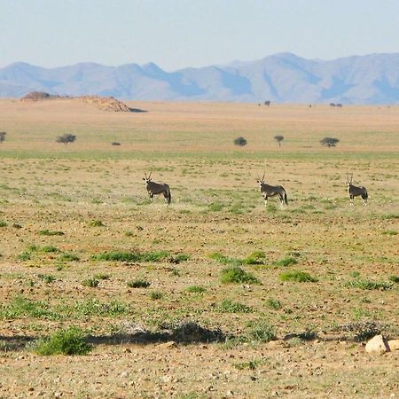 Solitaire Mountain Lodge المظهر الخارجي الصورة