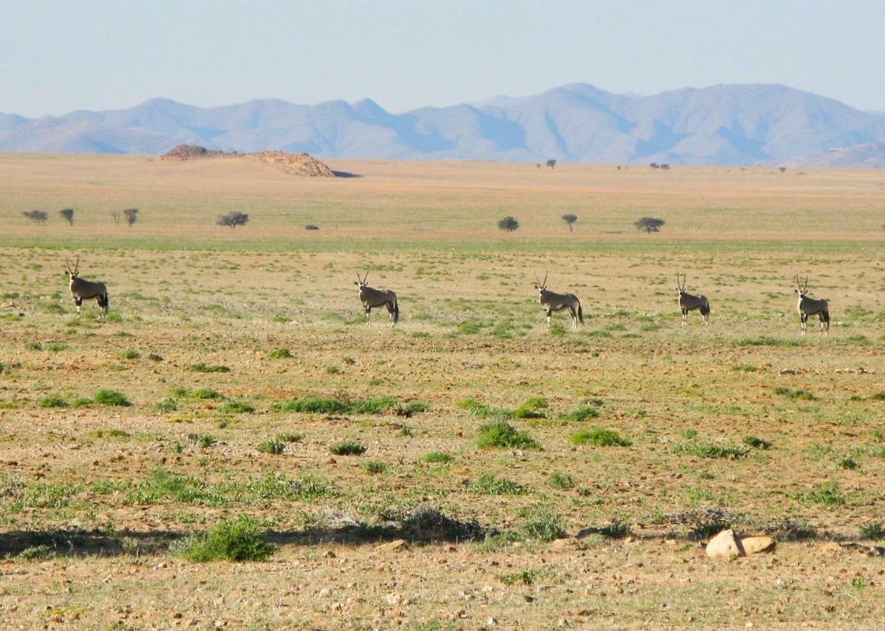 Solitaire Mountain Lodge المظهر الخارجي الصورة